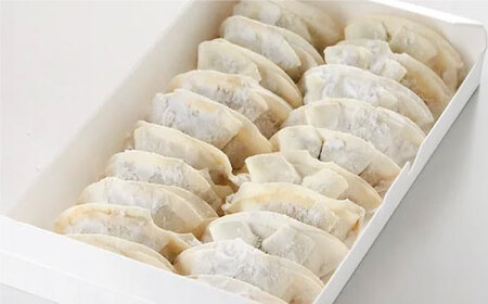 餃子 【9回定期便】冷凍自家製餃子セット６０個 [ANCT024] 餃子