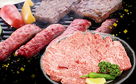 ふるさと納税　飛騨牛 もも肉 赤身 焼肉 500g A5 和牛 牛肉 お肉 モモ モモ肉 焼肉用 バーベキュー BBQ 