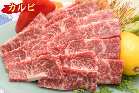 【スピード発送】【3回定期便】佐賀牛 定期便(ヒレ サーロイン カルビ 肩ロース 希少部位) (H085145)