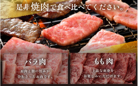 [051-e001]  「若狭牛 バラ & もも 焼肉」 食べ比べセット！ 計1250g