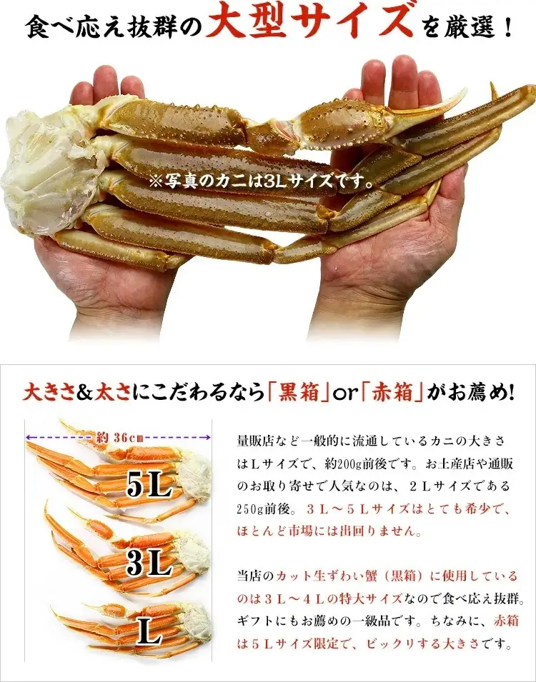 甲羅組のカット生ずわい蟹（高級品/黒箱）1000g [024-b024_fn] 
