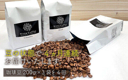 [013-d001] 定期便 コーヒー豆 600g × 4回 
