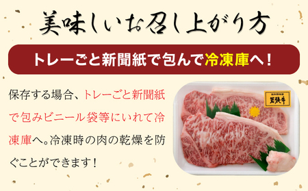 [002-b002] 若狭牛 サーロインステーキ 420g （210g × 2枚）