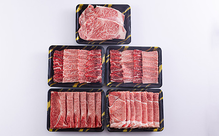 宮崎牛月替わり堪能セット定期C[3ヶ月] 合計2000g(2kg)　TF0691-P00020