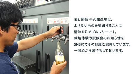 【 3ヶ月隔月 】 クラフトビール おまかせ 定期便 6本セット 飲み比べ 茨城県産 牛久醸造場 330ml × 6本