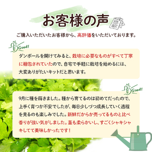 初心者も安心のお野菜栽培キット(パクチーの種付き)四万十の豊かな土壌を再現！！／Fis-B01 趣味 ガーデニング 家庭菜園 園芸 ベランダ菜園 プランター 種 パクチー パクチー種 培養土
