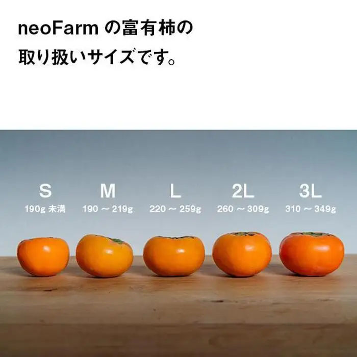 【特選品】岐阜県大野町産　富有柿 L 14個入り【2026年11月下旬～発送】 富有柿