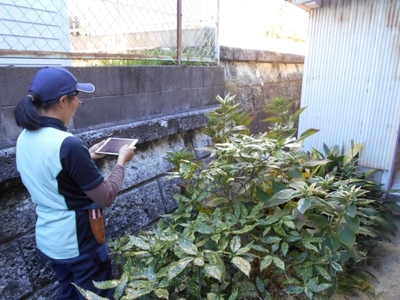 お試し「建物外部＋お庭」1回コース ／ 代行 防犯 ポスト整理 チケット サービス 空き家 留守宅 持ち家 管理 劣化 資産価値 定期的 巡回 庭木 近隣 