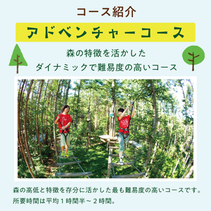 【ふるさと納税】全力で森遊び！アドベンチャーコース 1名様体験チケット [a0409] 株式会社 FOREST DEN 【返礼品】添田町 ふるさと納税