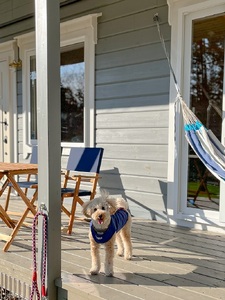 Pochi-Terrace 八ヶ岳　宿泊ギフト券（15,000円分） [h247]