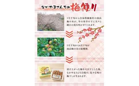 紀州南高梅　かつお【ハチミツ入】 塩分10%（1.5kg）なかやまさんちの梅干　うめ　ウメ　【nky008-215k】