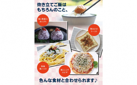 紀州南高梅　かつお【ハチミツ無】 塩分10%（750g）なかやまさんちの梅干 うめ ウメ 梅干し【nky002-275k】