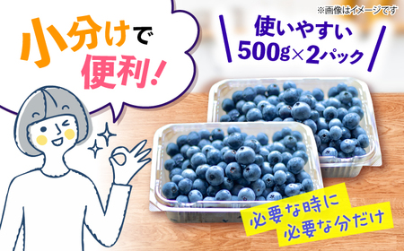 【2026年6月より順次発送】 ブルーベリー 1kg＜広津農園＞[CBN008]  新鮮 産地直送 フルーツ 健康 冷蔵 栽培期間中 農薬不使用 ブルーベリー 果物 果実 