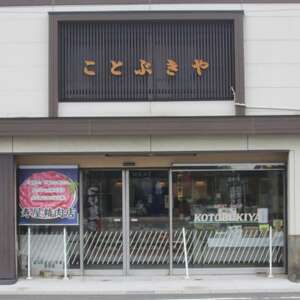 豚肉 切り落とし (計1.8kg 300g×6P) 国産 冷凍 肉 小分け 豚 豚肉 米 にあう お弁当 ごはん おかず 丼 惣菜 料理