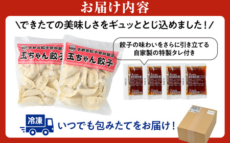 8-3 玉ちゃん餃子8人前（24個×2袋) ぎょうざ ギョーザ おつまみ おかず 惣菜 ※着日指定不可