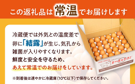 【6回定期便】 まつもとたまご  Lサイズ 赤玉 60個 ＜松本養鶏場＞[CCD007]