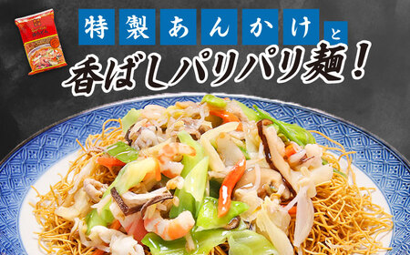 【12回定期便】長崎ちゃんぽん 皿うどん セット 6食（ちゃんぽん4食、皿うどん2食） / ちゃんぽん チャンポン さらうどん 皿ウドン 長崎 スープ付き 乾麺 麺 / 南島原市 / 狩野食品 [SDE016]