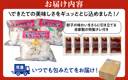 10-16　玉ちゃん餃子3種詰め合わせ