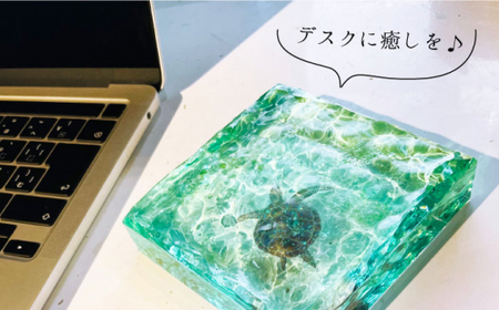 インテリア【飾れる海】 アートブロック エメラルドグリーンの海とカメ スケルトン ＜Studio KAI by濱村裕二/  Yuji hamamura＞ [CDH018] 海 マリン ビーチ インテリア レジン おしゃれ 雑貨