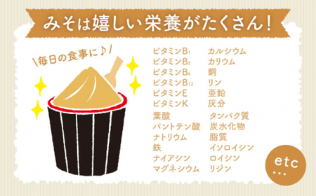 玄米麹 で仕込む 玄米味噌 川添酢造 CDN049 味噌 自由研究