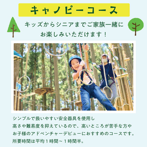 【ふるさと納税】家族みんなで楽しめる！キャノピーコース 1名様体験チケット [a0410] 株式会社 FOREST DEN 【返礼品】添田町 ふるさと納税