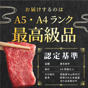 HA-03　大山黒牛ローススライス 600g