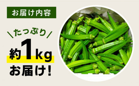 先行予約 オクラ 1kg ＜パッパラパー農園＞ [CFI001] 産地直送 オクラ 新鮮 野菜