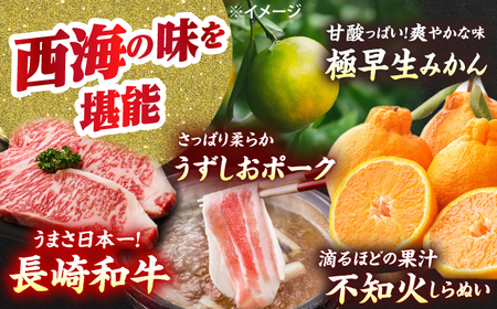 12回定期便 西海の宝物定期便 | CZZ019 定期便