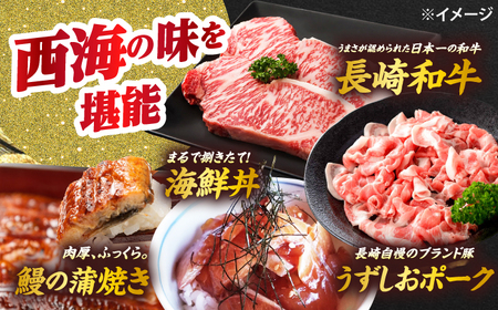 6回定期便 お肉と海 西海の宝物定期便 | [CZZ021] 定期便
