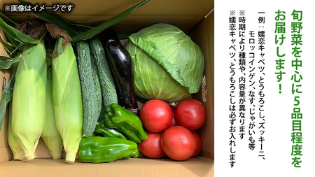 【 8月下旬発送開始 】 嬬恋 キャベツ と旬の 高原 野菜 セット 4人様 ファミリー向け [AK002tu]