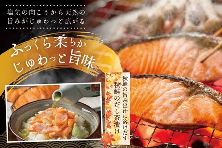★N15 こだわり熟成 秋 鮭 切り身 15切 個包装