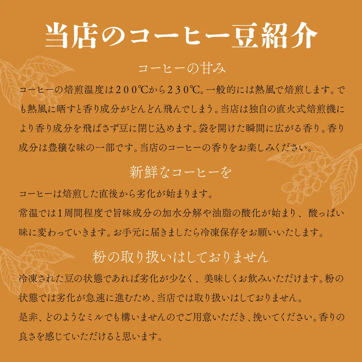 自家焙煎 コーヒー豆 ブラジル トミオフクダDOT 100g×3個セット 300g