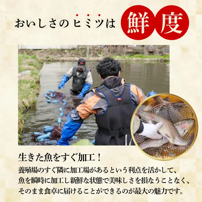 ぴっぷサーモン にじますフィレ 刺身用 600g（100g×6パック）【にじます工房】ニジマス 鱒 燻製 スライス アレンジ おつまみ 魚介 養殖 加工品 北海道 比布町 ぴっぷ 1009-003