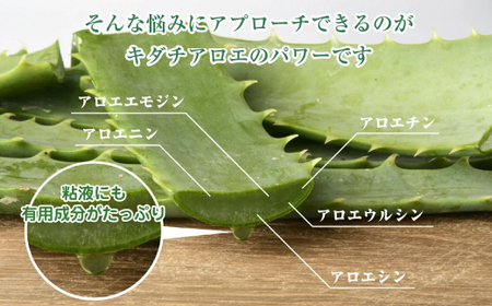 26-701．濃厚な100％エキス・四万十産有機キダチアロエ使用「四万十アロエナチュラルエキス100％ 720ml（1本）」
