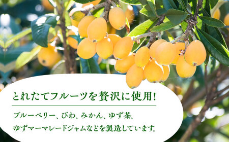 対馬のフルーツジャム 6本(3種類以上)セット フルーツ 果肉 ゆず ジャム ソース [WAM019]