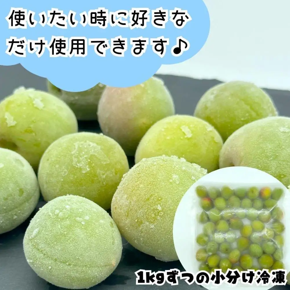 【2026年7月上旬～出荷予定】梅 冷凍 青梅 南高梅 5kg ( 1kg × 5袋) 秀品 2L or Lサイズ 和歌山県産 紀州有田  【みかんの会】