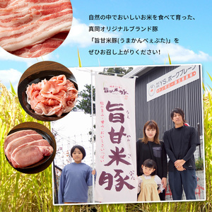 【定期便3回】旨甘米豚 詰め合せ 計1.2kg