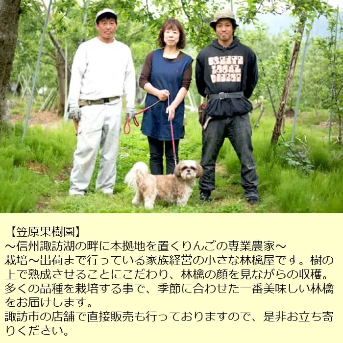 [先行予約2026年12月発送]信州産りんごジュース 1L瓶詰め 6本[箱入り]/笠原果樹園[80-01]