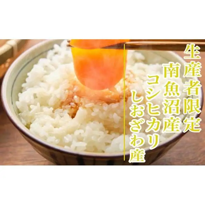 【令和8年産　新米予約】定期便６ヶ月：精米2kg生産者限定 南魚沼しおざわ産コシヒカリ【定期便 銘柄米 ブランド米 精米 こしひかり コシヒカリ 魚沼産 ごはん】【2026年10月上旬から1ヶ月以内に順次発送予定】
