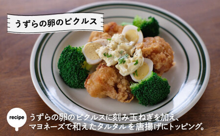 京都・福知山ピクルス (3本セット) ふるさと納税 福知山市 ピクルス 酢漬け 3本セット 野菜 規格外野菜 万願寺とうがらし うずら卵 ミニトマト 【fc-BV002】【エム・ソーレ】
