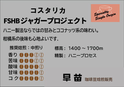 【早苗】焙煎珈琲豆（いつもと違った個性派セット　3種×各100g）豆  0020-003-S05-1