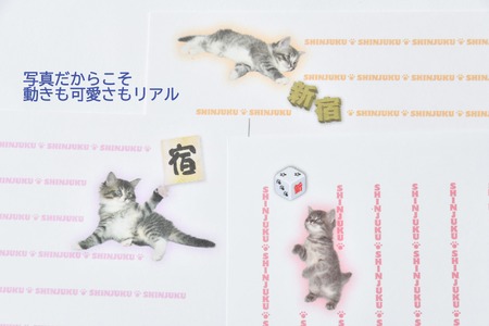 猫写真の一筆箋「にゃん筆箋」新宿キャット3パックセット 0039-002-S05