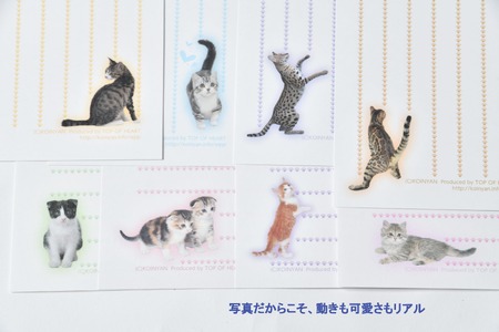 猫写真の一筆箋「にゃん筆箋」猫種いろいろ肉球キャット8種セット 0039-004-S05
