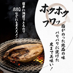 秋田の干物セットＢ 13品程度(干物7種類程度）（干物 セット 人気 詰め合わせ 鮭 さば しまホッケ他） 長期保存 カレイ一夜干し 