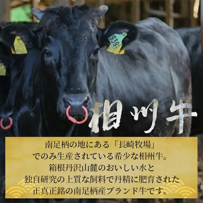 【国産希少牛】 相州牛（すき焼き用） 500g 南足柄ブランド 国産牛 肉 ふるさと納税【すき焼き 牛肉 お肉 ブランド牛 神奈川県 南足柄市 】