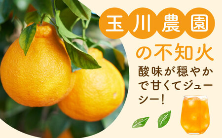 みかんジュース【先行予約】【4月中旬から順次発送】 不知火100％ジュース 720ml×6本 みかんジュース[AGBC002]
