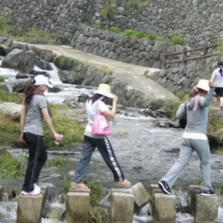 リフレッシュの森・1泊体験宿泊券(1名様)【1420006】