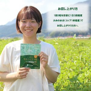 いづものモロヘイヤ100レギュラーサイズ(450粒)