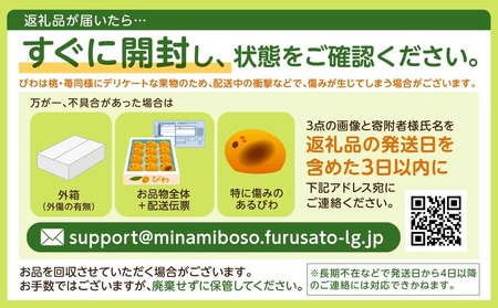 【2026年5月下旬～6月中旬発送予定】房州びわ(露地)12粒入2Lサイズ以上1箱 mi0010-0010