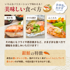 銀鮭の切身（10切×10袋） mi0012-0082 ｼｬｹ 鮭 切身 魚 おかず